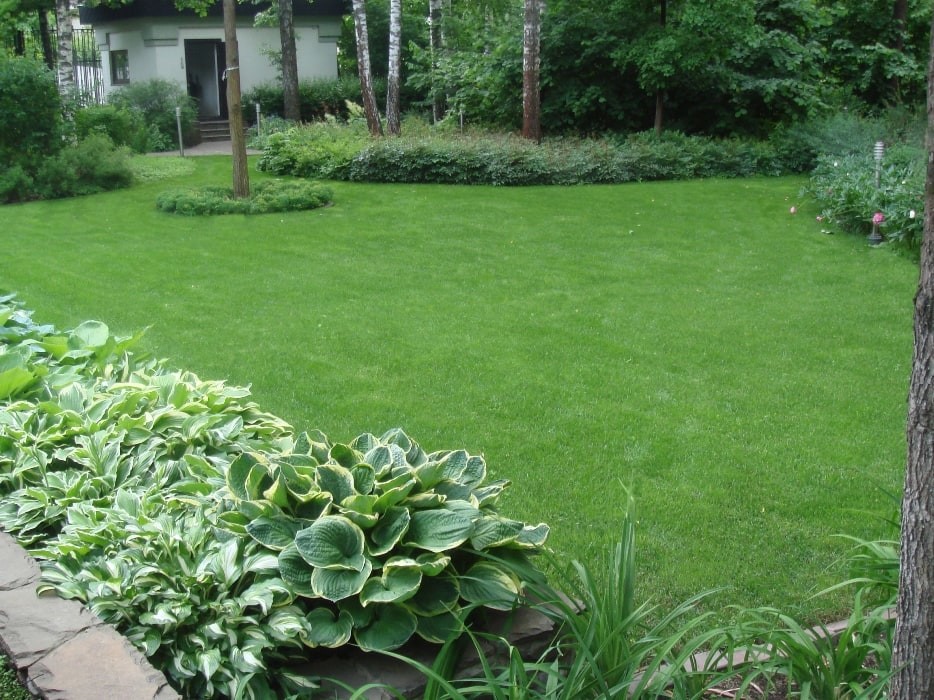 Рублево-Успенское шоссе. 55 соток.