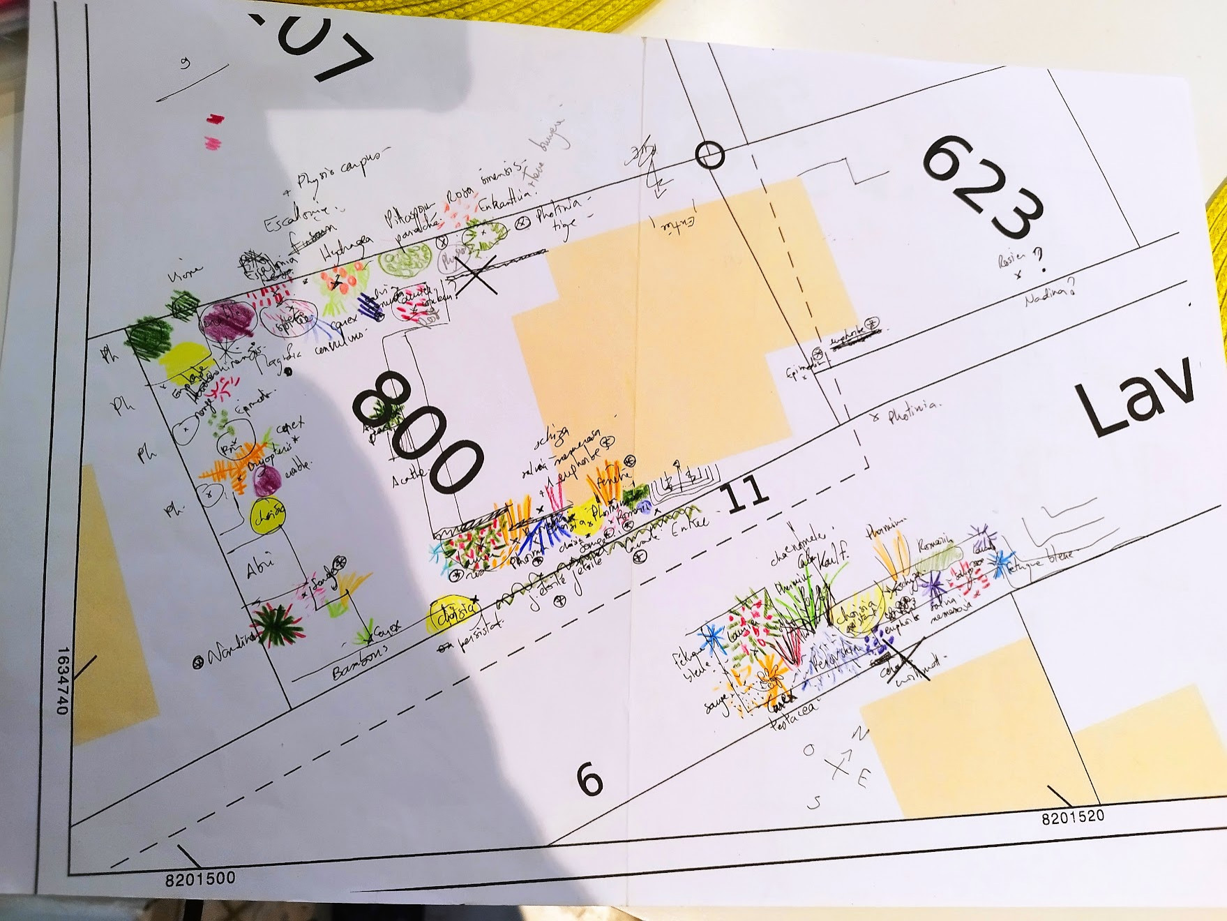 Plan de plantation - création de contrastes et d'harmonie de couleurs