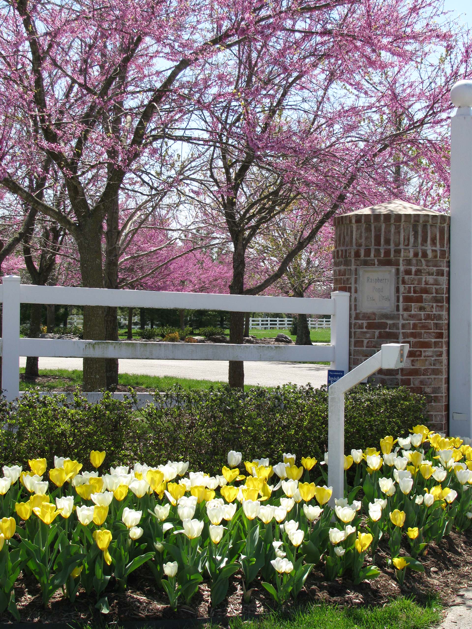 Seasonal Color and Flower Plantings