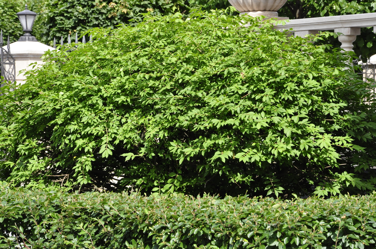 кп "Романово" - Уход за садом - 100% качество