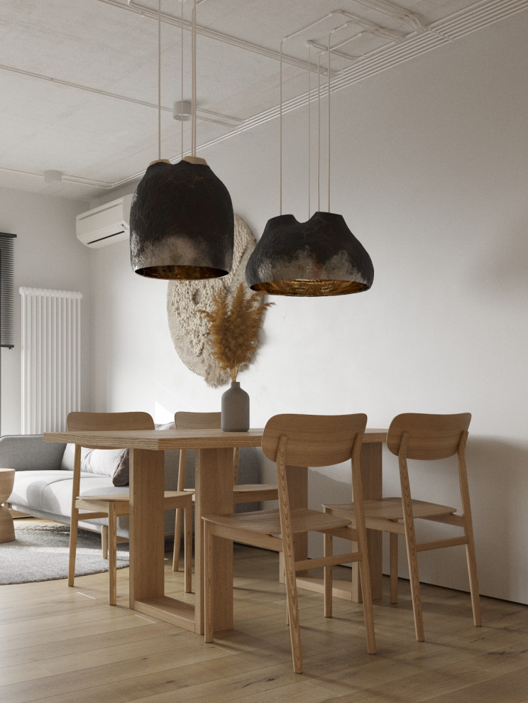 lagomhouse_project_S