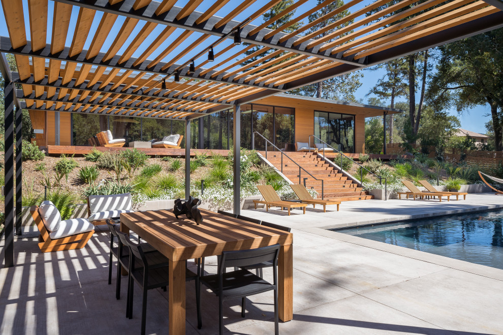 Modelo de piscina natural retro de tamaño medio rectangular en patio trasero con paisajismo de piscina y losas de hormigón