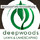 Deepwoods Lawn & Landscaping