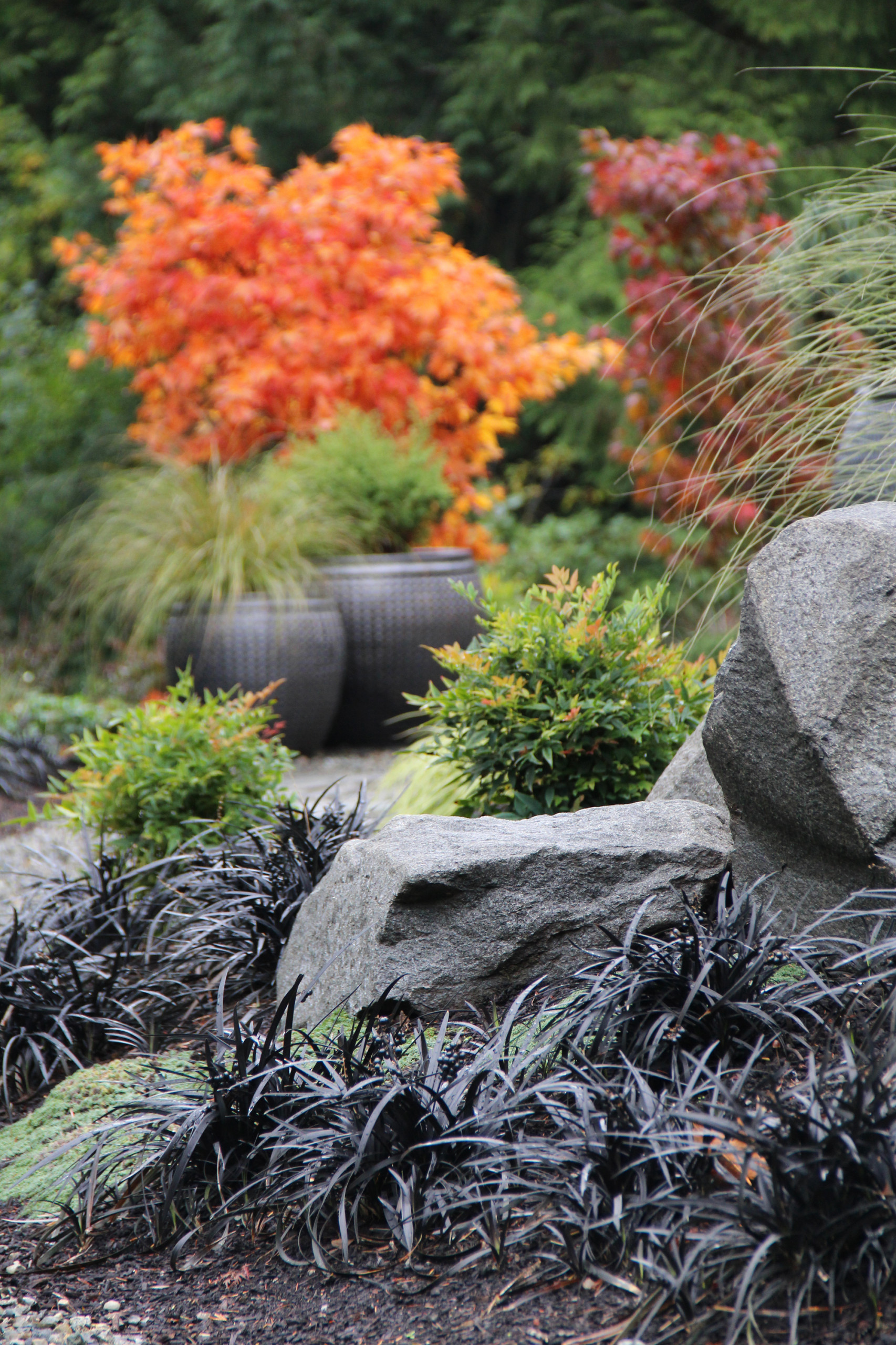 Great Garden Combo: Fall Foliage With a Contemporary Twist, image size:1706x2560