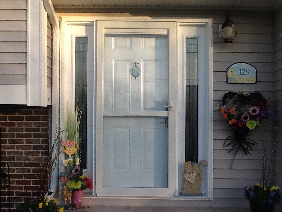 Paint Sidelights? Storm Door?