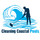 Cleaning Coastal Pools