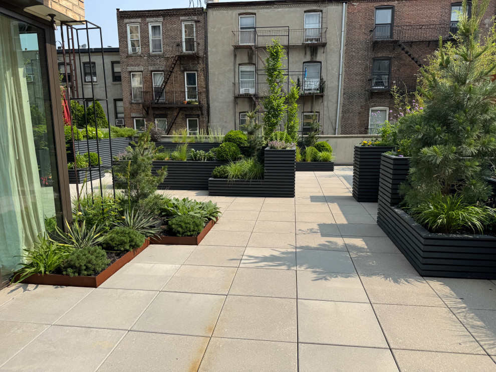 Carroll Gardens Rooftop Terrace