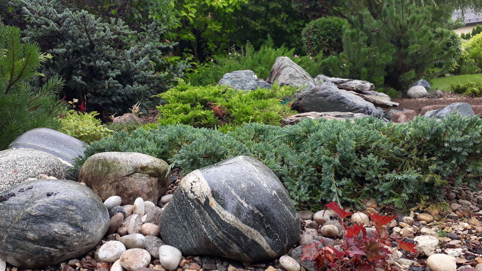 Мини-пруд Королев