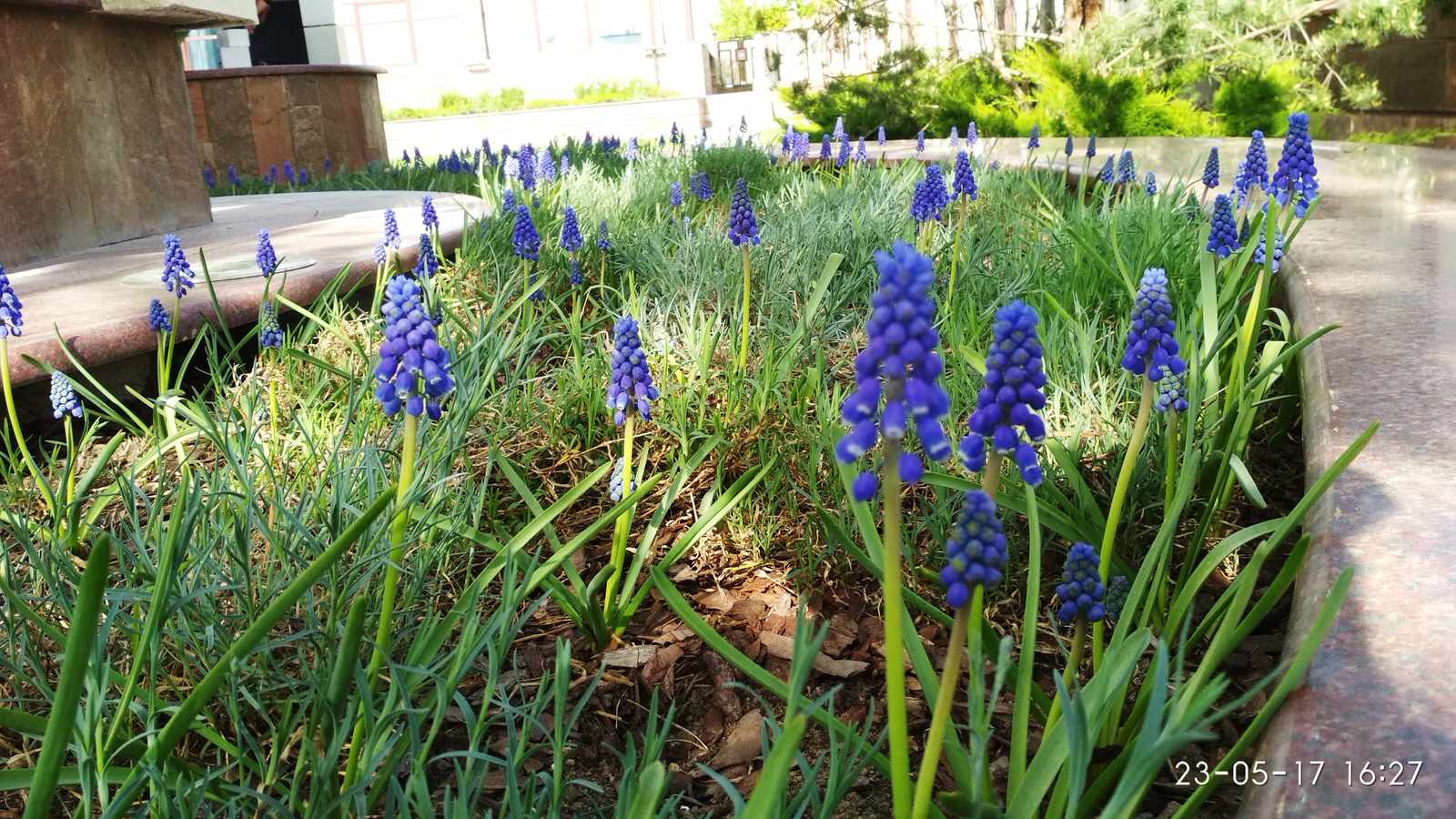 кп "Мартемьяново" - Профессиональный уход за садом - 100% качество!