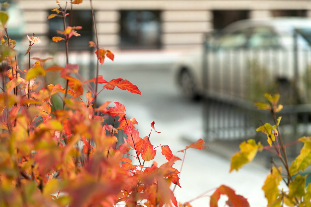 Архитектурная съёмка ж/к "Родные берега" (ул. Звездинская)