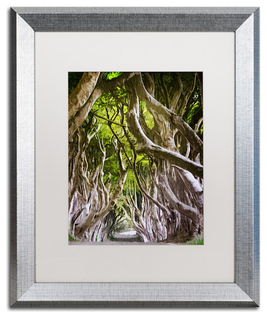 Sainte-Laudy 'King of the Woods' Art, Silver Frame, 16"x20", White Matte