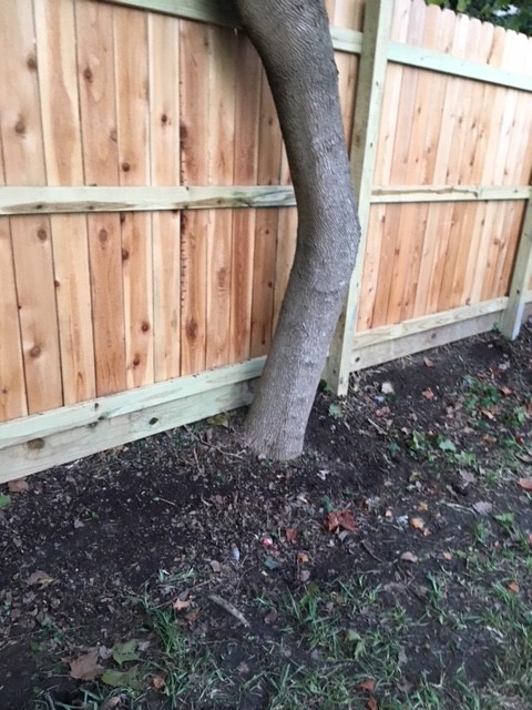 Cottage Wood Fence - Horizontal