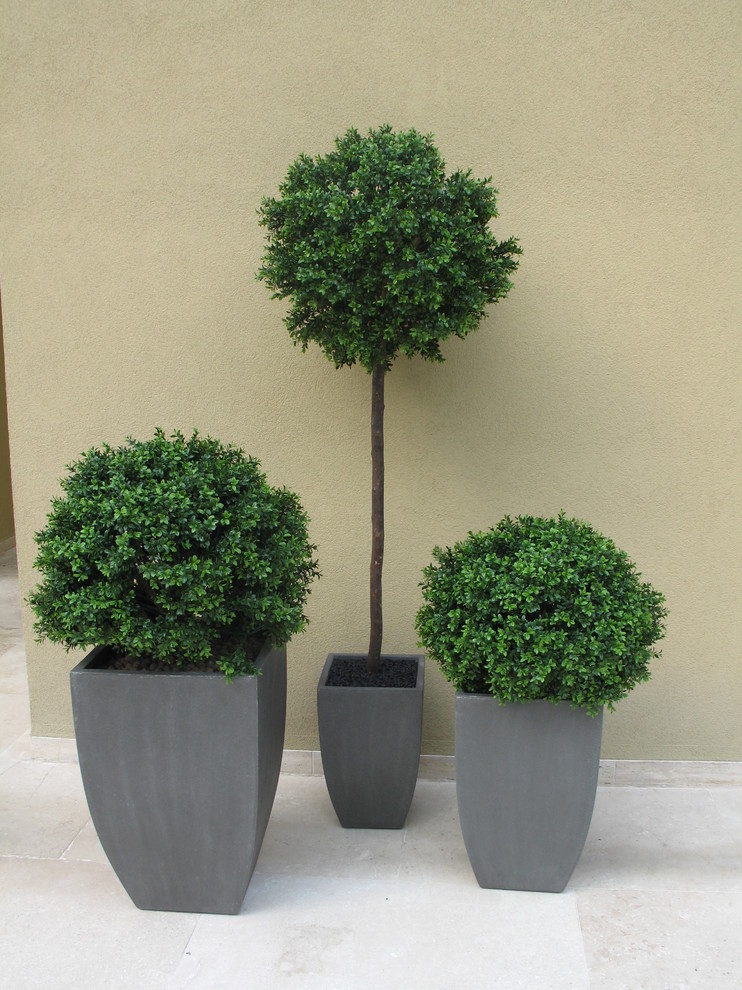 Контейнерное уличное озеленение