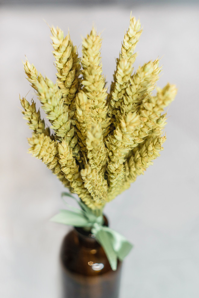 Коллекция Lago