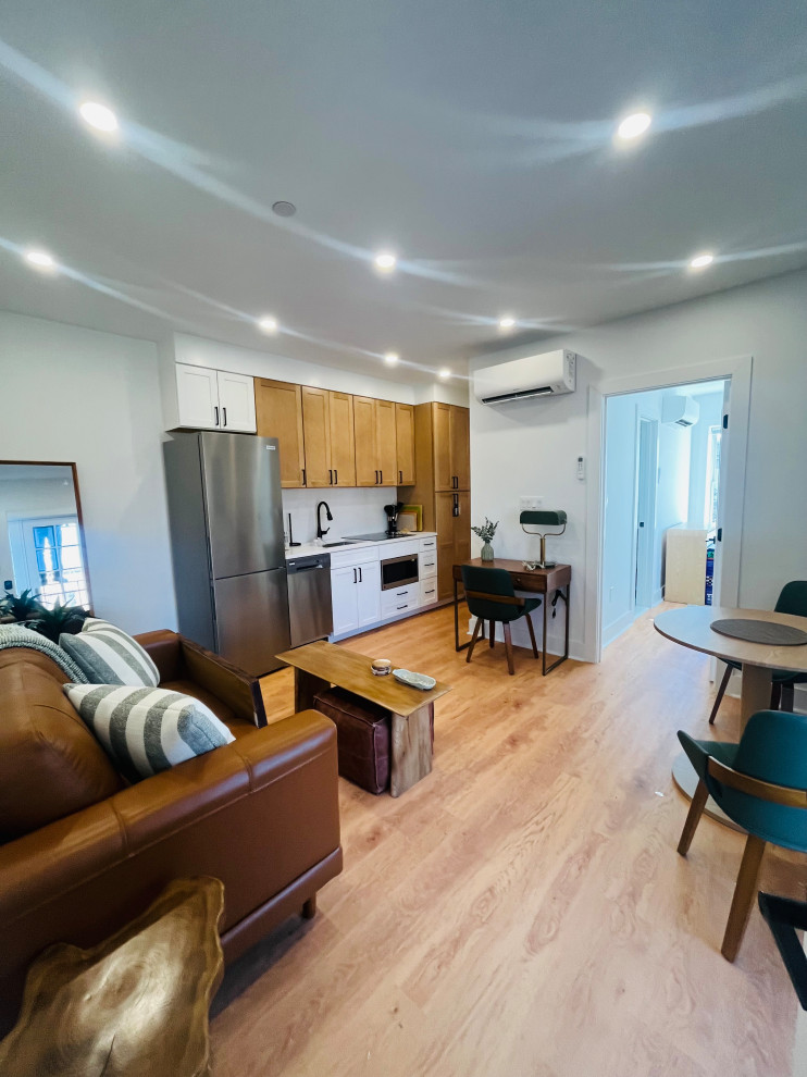 Capitol Hill, DC Renovation