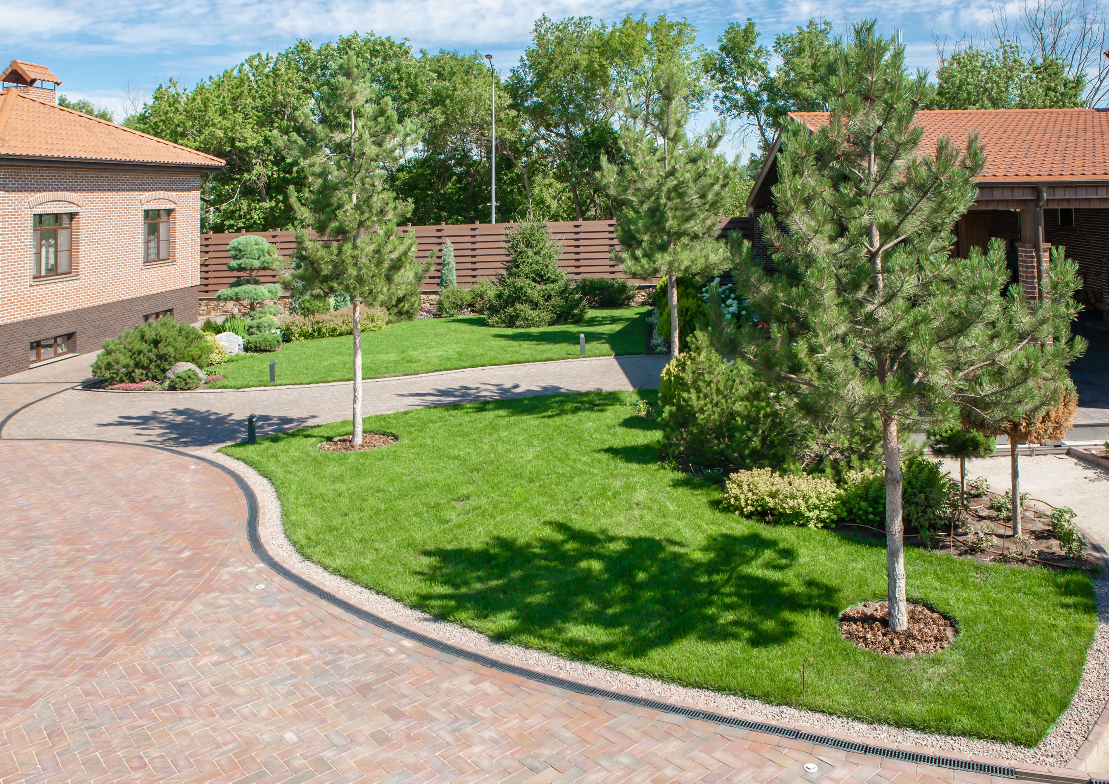 "Сосновая история"