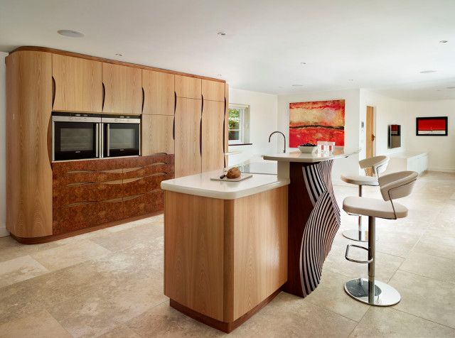 Contemporary Kitchen trendy-koekken