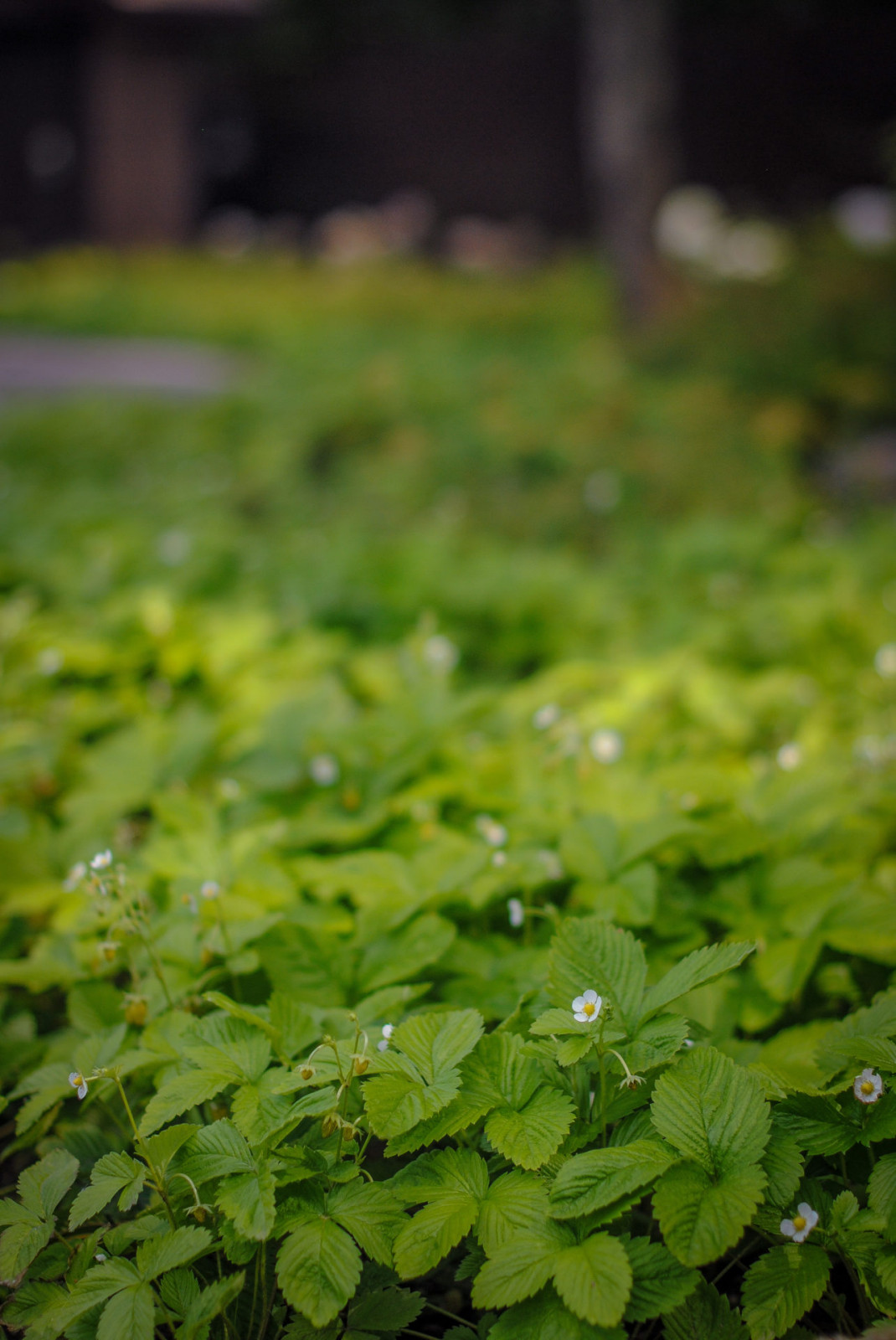 Чистые ключи