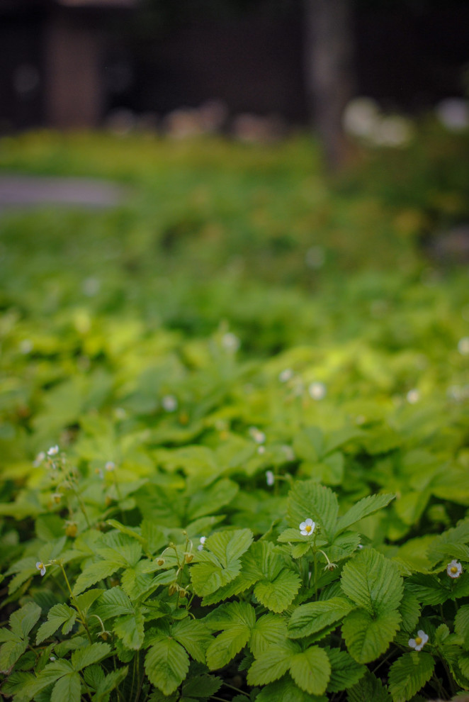 Чистые ключи