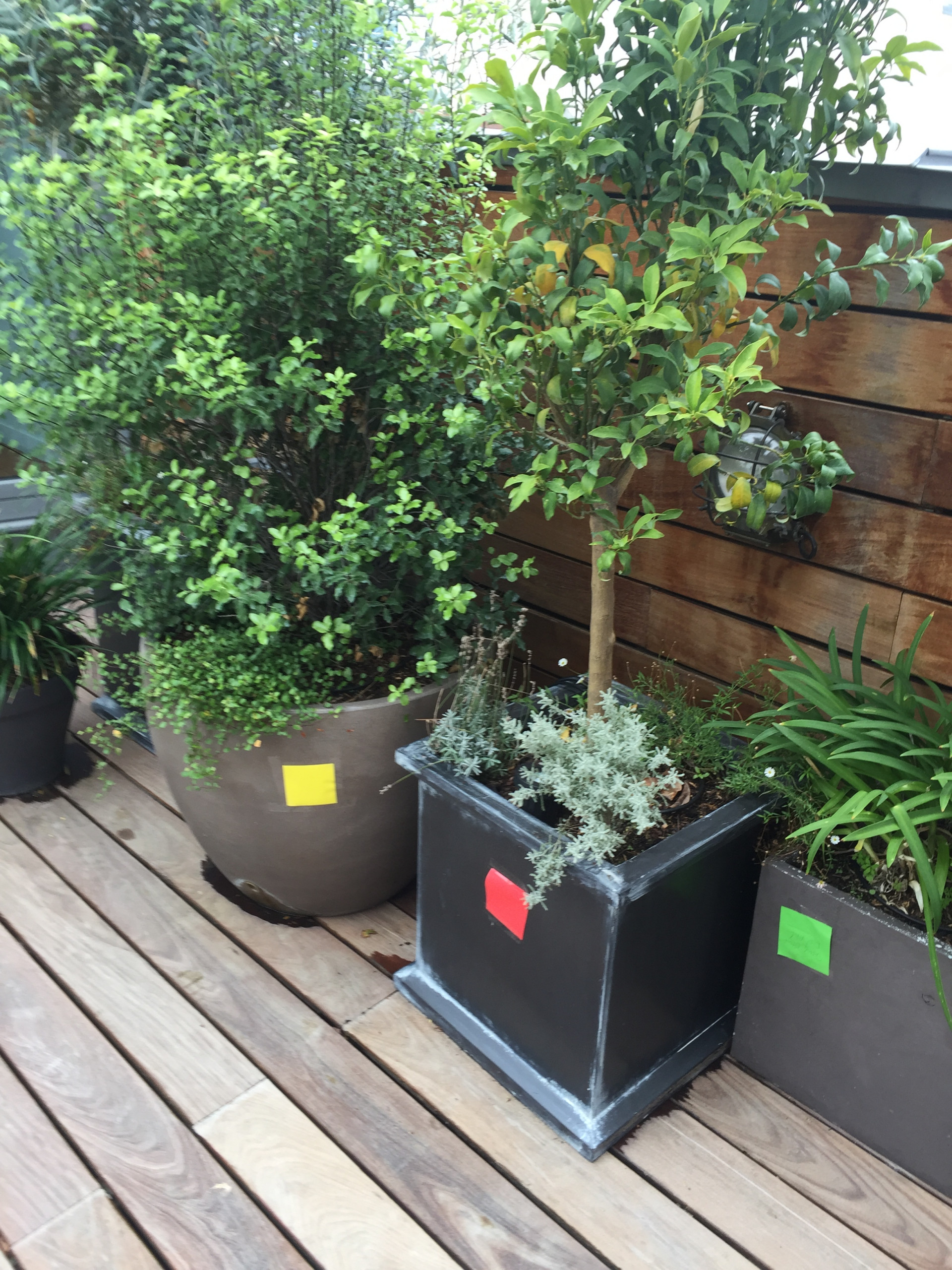 terrasse paysagée
