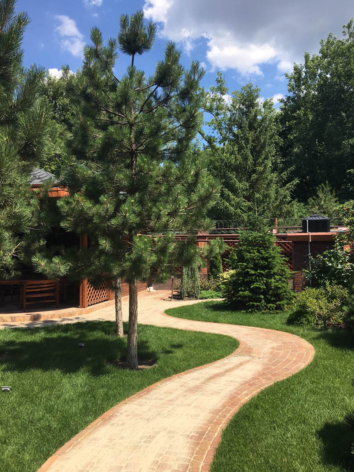 Сад в большом городе...