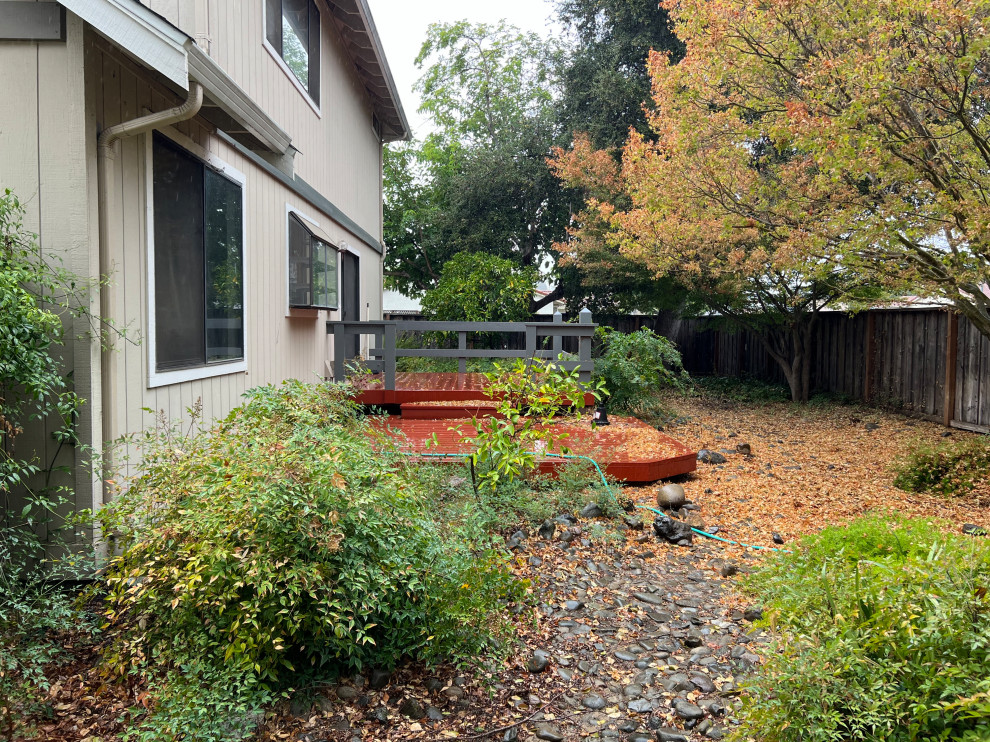Morgan Hill Mordern Landscape