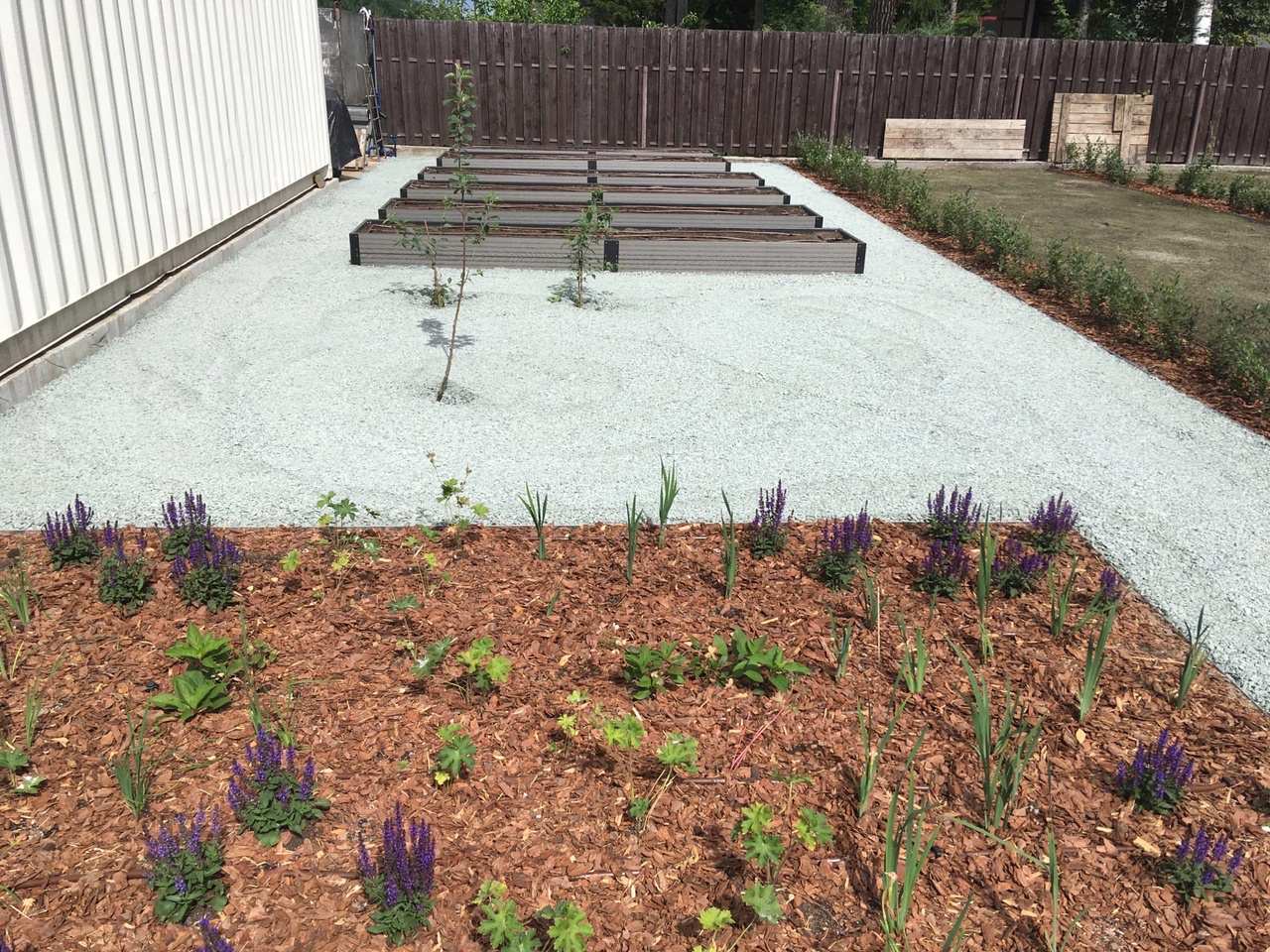 Строгие линии