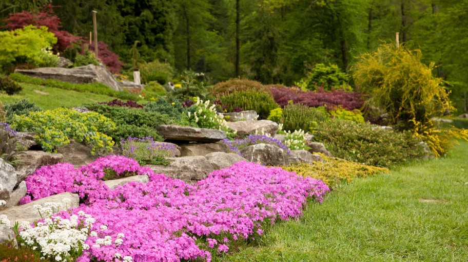 Garden Landscape and Outdoor Oasis