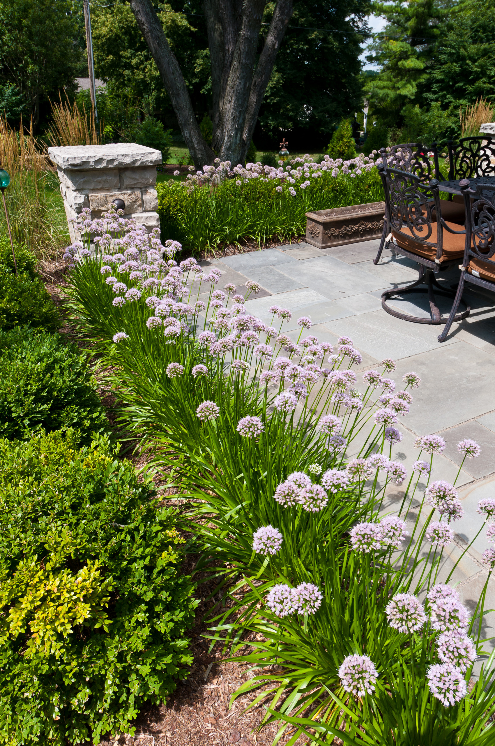 Traditional Back Patio Landscape - Elm Grove, WI