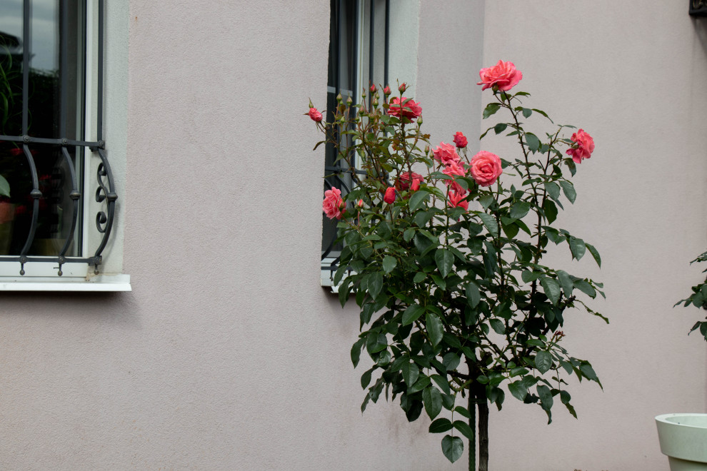 Французский садик в поселке Рыбаки Дмитровское шоссе