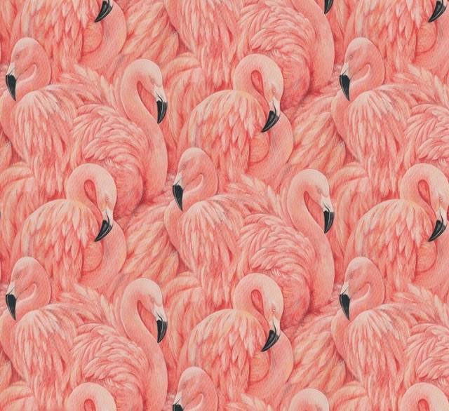Large Flamingo Wallpaper - Tropical - Wallpaper - by The Alley Exchange