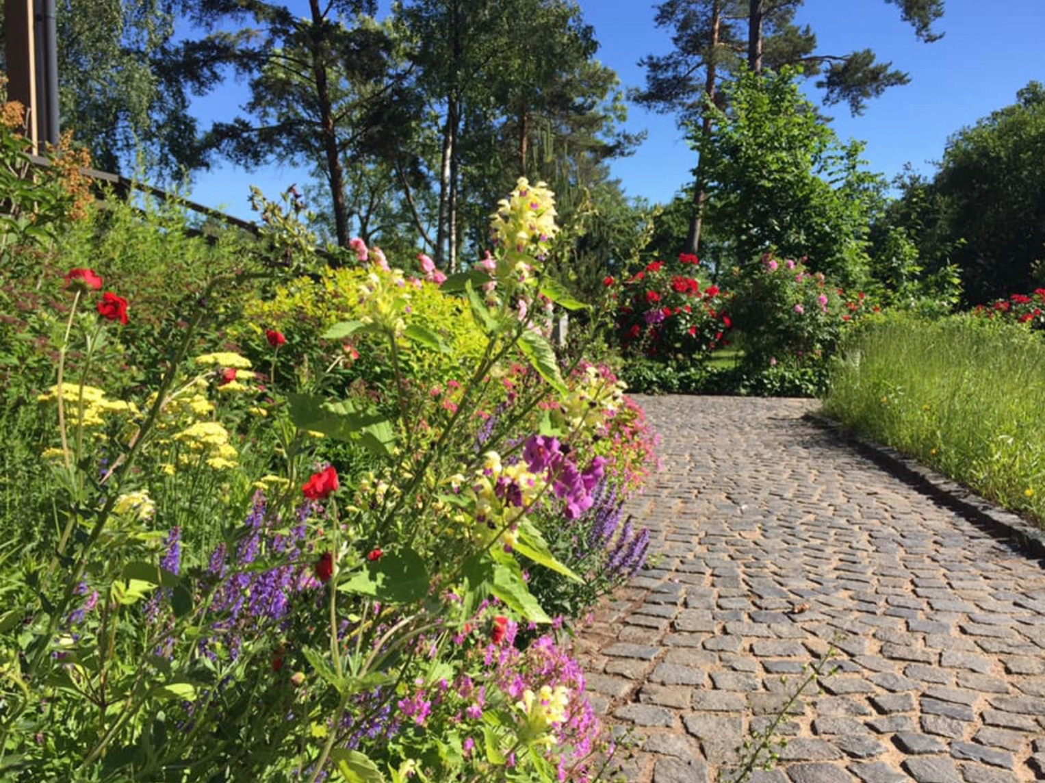 Сад натуралистического стиля