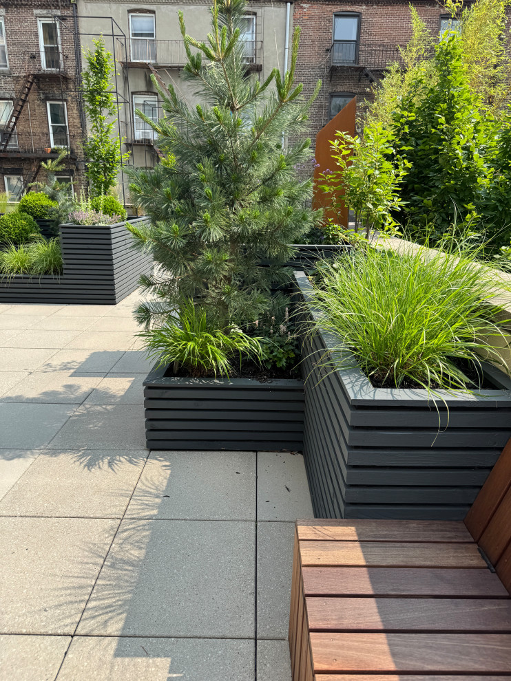 Carroll Gardens Rooftop Terrace