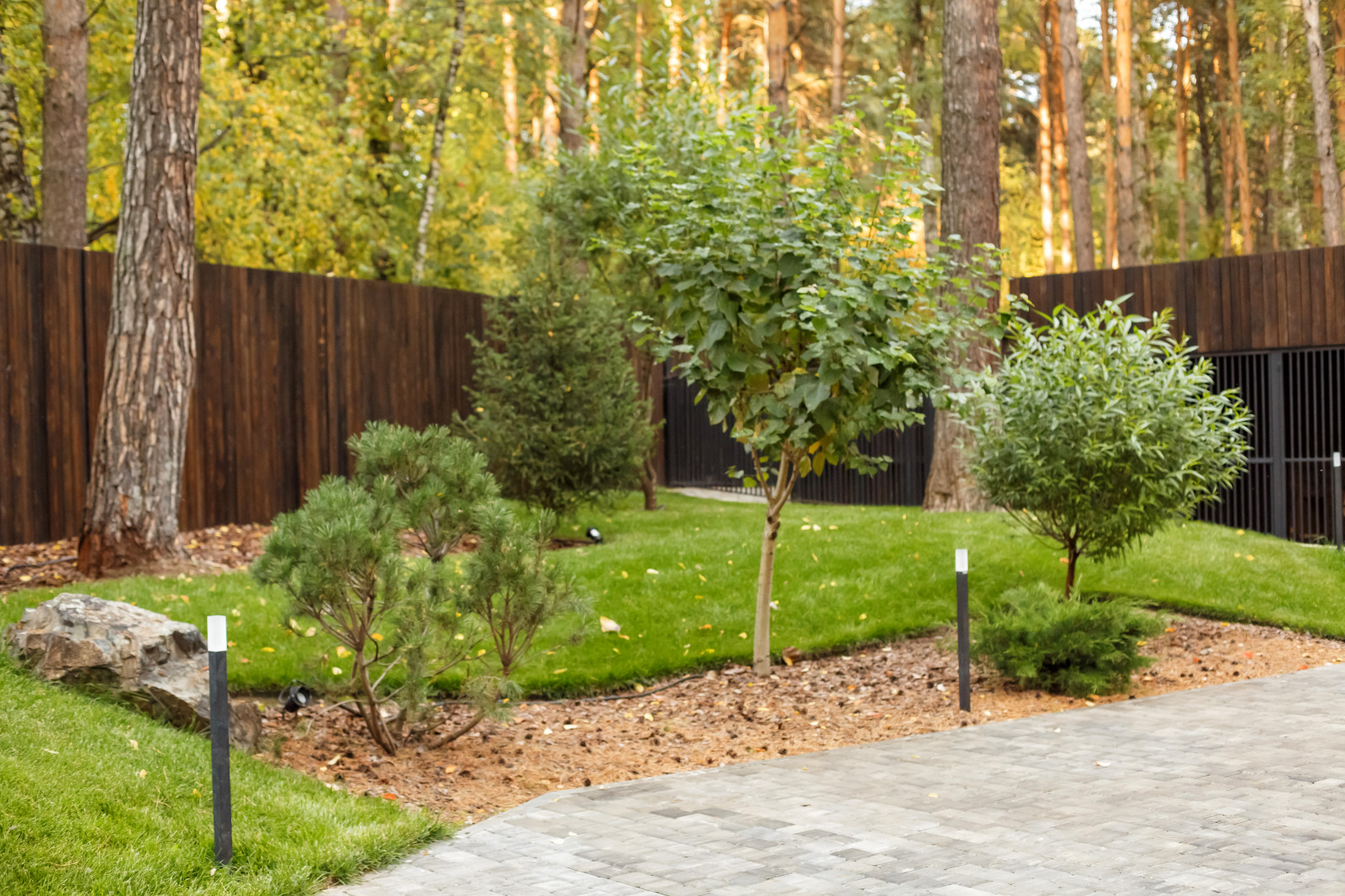 Ландшафт. Лесная погулка