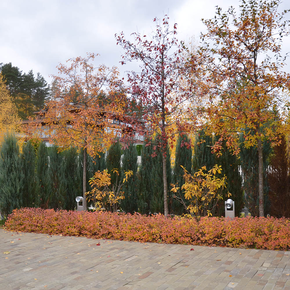 Современный сад в КП "Бенелюкс" вилла 1