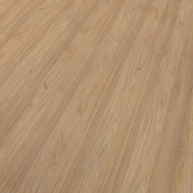 Supergloss Plank Elm Light Set Of 8 Traditional Laminate Supergloss Plank Elm Light Set Of 8