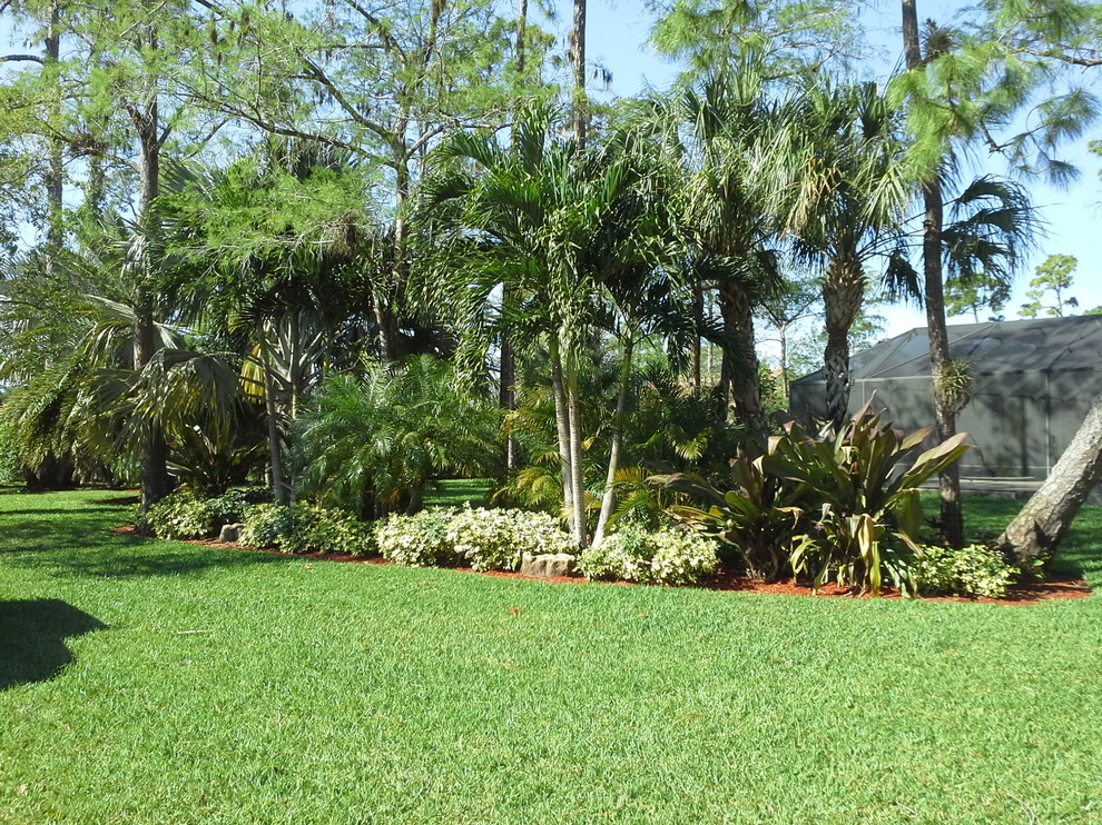 This is an example of a large tropical backyard full sun xeriscape in Tampa with mulch.