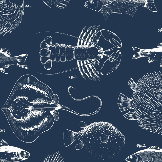 Transform Under The Sea Blue Peel and Stick Wallpaper Beach Style Wallpaper by Graham