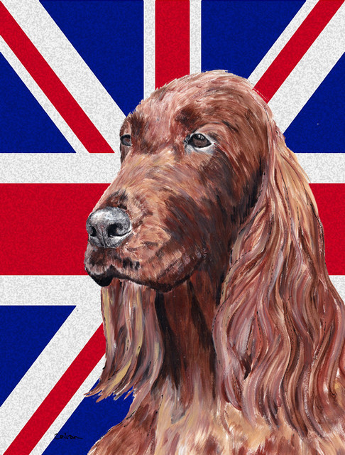 irish setter 2850