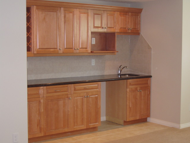 Basement Development transitional-basement