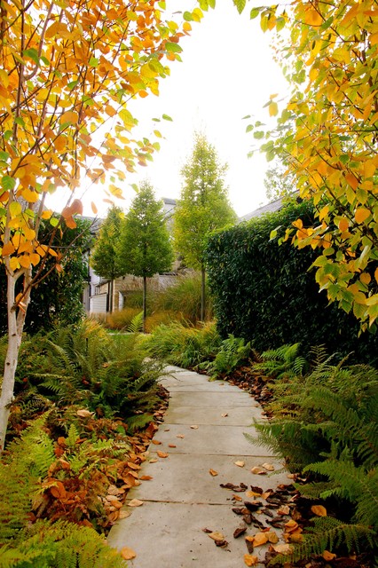 The Bield modern-garden