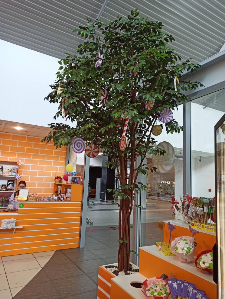 Крупномерные деревья для МармеладЛэнд