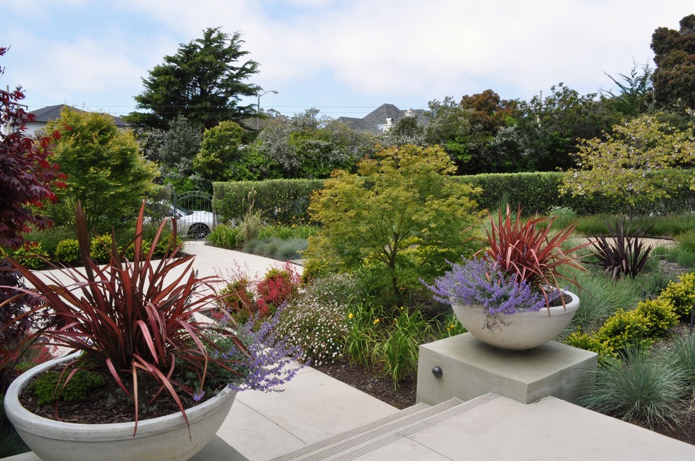 Immagine di un giardino minimal davanti casa in autunno con un giardino in vaso