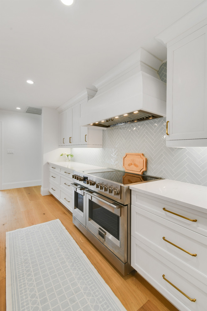 Kitchen - transitional kitchen idea in Miami