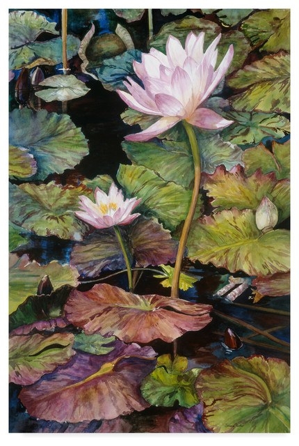 Water Lily Aquatic Plant Canvas Poster Print Picture Room Home Wall Art Decor