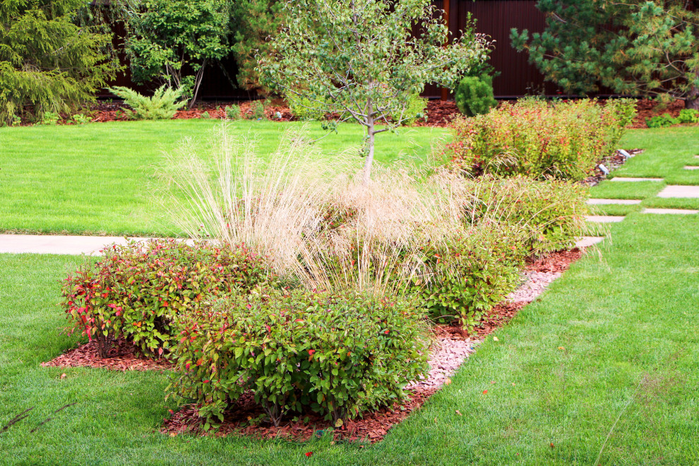 Петровское, 2018-2020 гг.