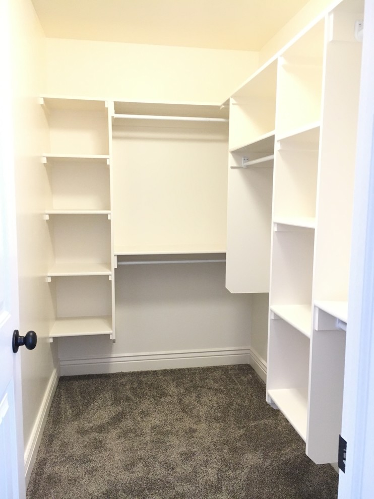 Walk-in closet - mid-sized transitional gender-neutral carpeted walk-in closet idea