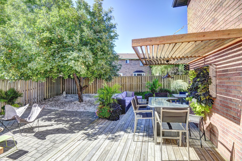 Design ideas for a mid-sized modern side yard deck in Toronto with a vertical garden and a pergola.