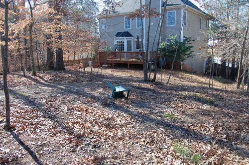 Istance Ideas For Wooded Backyard