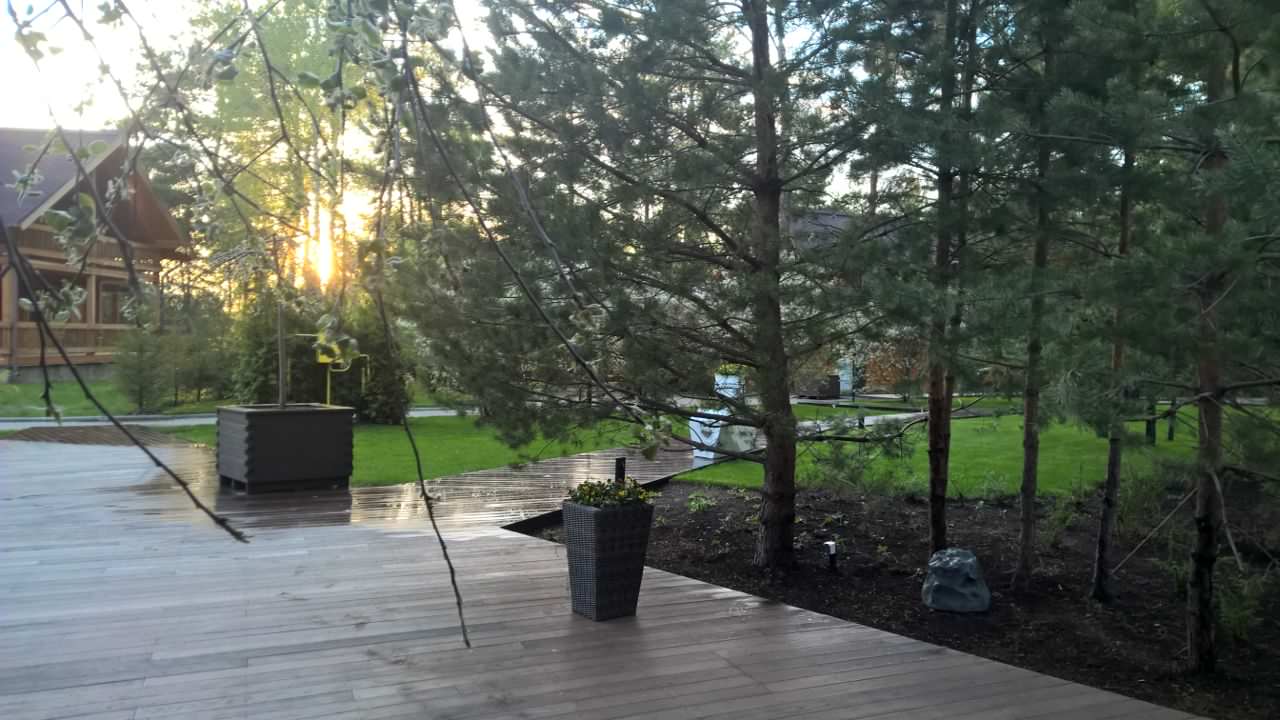 Сад в Завидово